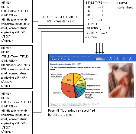 Screen shot: Howard Hughes Medical Institute Laboratory Safety Training page with linked style sheet